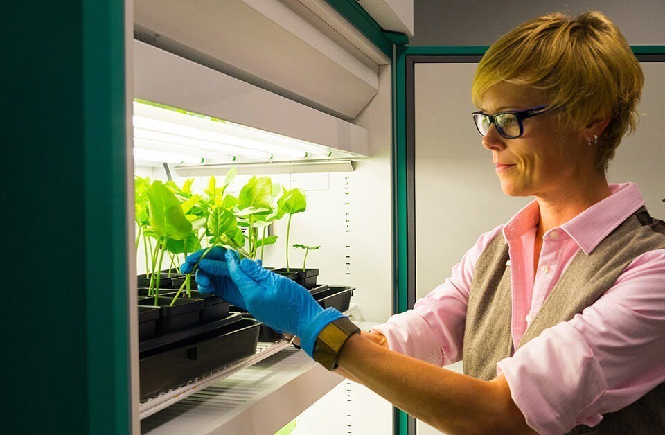 Using ChatGPT to make jobs easier