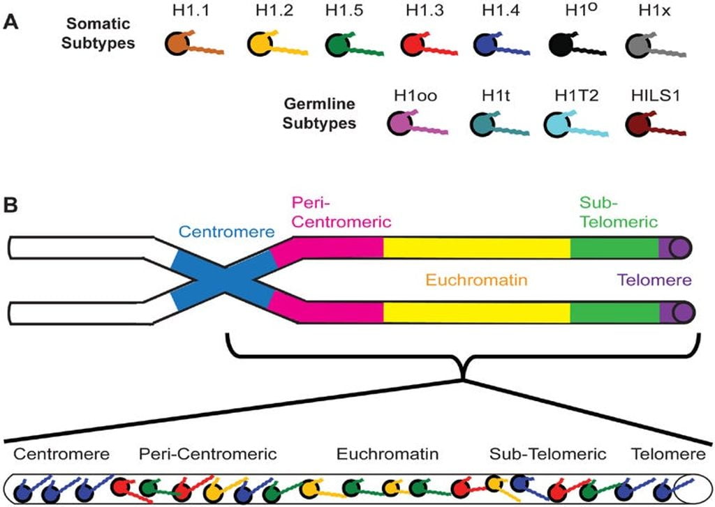 Can ChatGPT come up with concepts
